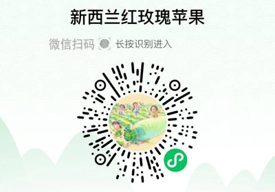 新西兰泰勒红玫瑰苹果20220531/果然