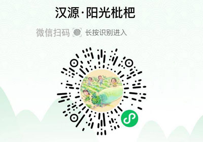 四川汉源枇杷20220531/果然