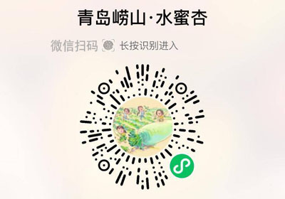 青岛崂山水蜜杏20220610/果然