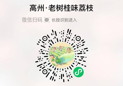 高州老树桂味荔枝20220617/果然