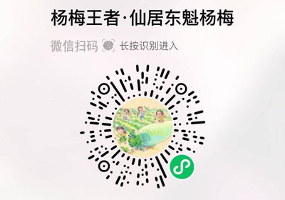 仙居东魁杨梅20220619/果然