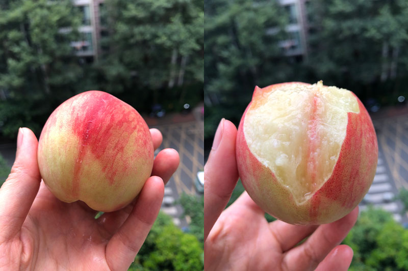 龙泉驿小白凤水蜜桃20220623