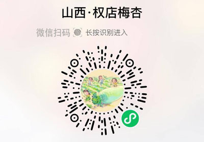 山西武乡县权店红梅杏20220627/果然