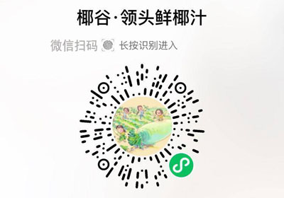 椰谷领头鲜椰汁20220630/果然