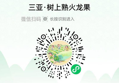 海南树上熟红心火龙果20220601/果然