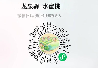 龙泉驿水蜜桃20220608/果然