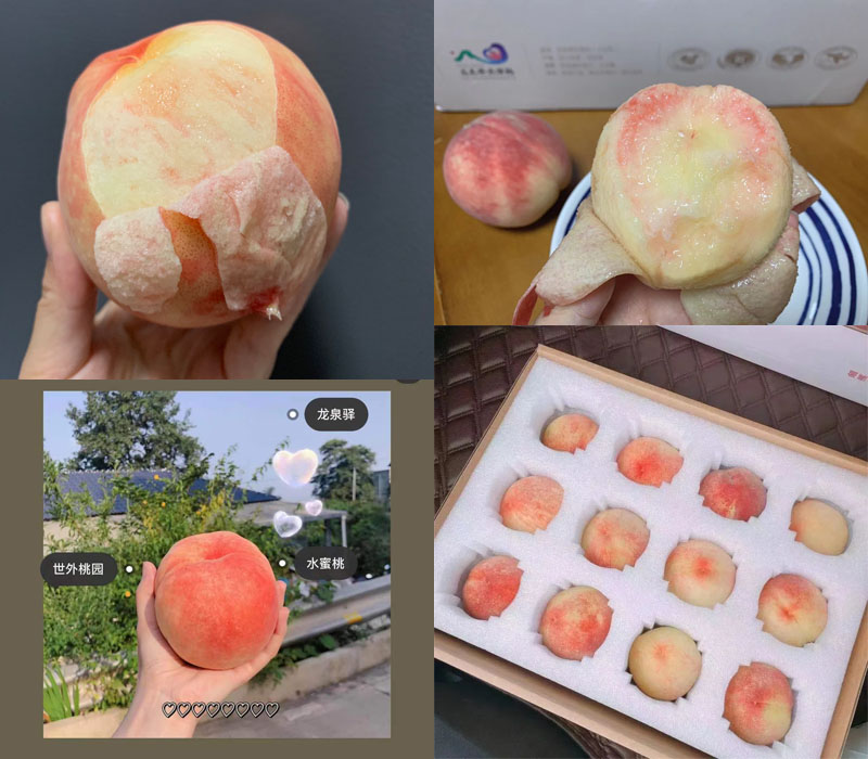 龙泉驿水蜜桃20220608