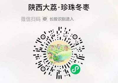 陕西大荔冬枣|珍珠冬枣20220701/果然