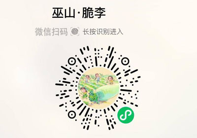 重庆正宗巫山脆李20220707/果然