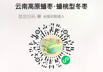 云南高原蟠枣20220709/果然