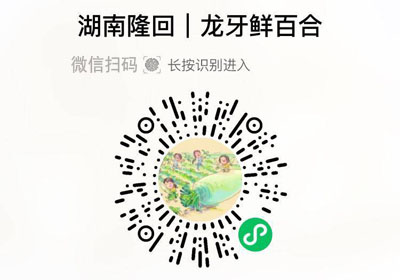 有客瑶来龙牙鲜百合20220714/果然
