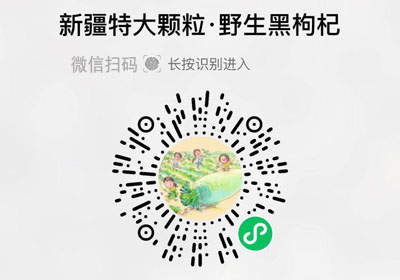 新疆特级大颗粒野生黑枸杞20220806/果然
