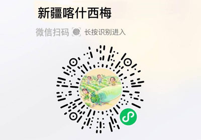 新疆喀什法兰西小西梅20220820/果然