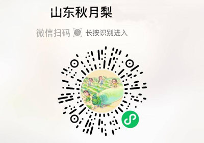 山东莱阳秋月梨20220902/果然