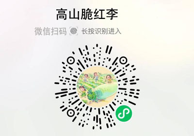 四川汶川高山脆红李20220903
