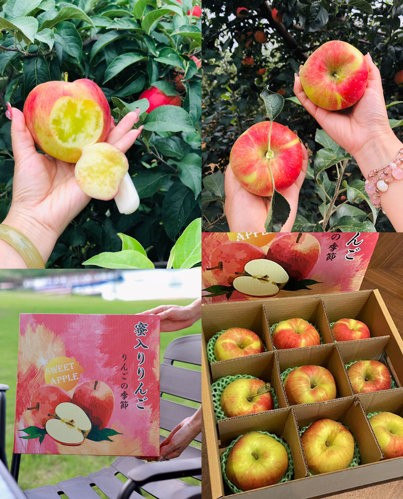 日本蜜苹果20220905