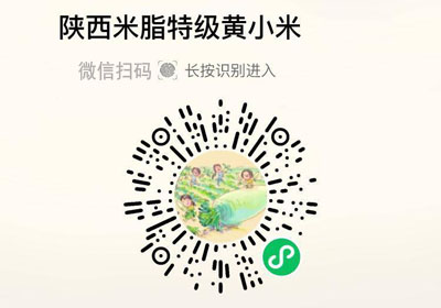 陕西米脂特级黄小米20220915