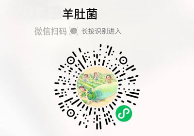 福建宁德羊肚菌20220920/果然