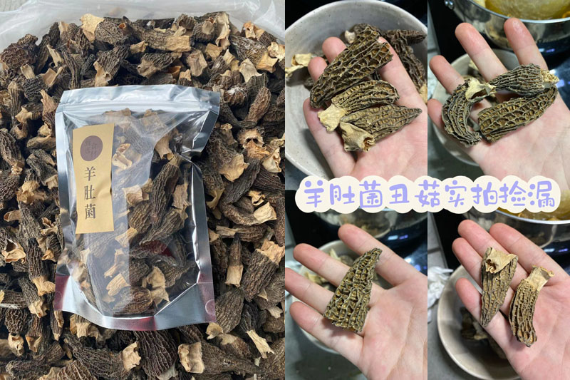 福建宁德羊肚菌20220920