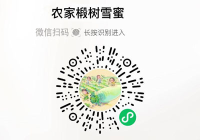黑蜂雪蜜椴树雪蜜20221010/果然