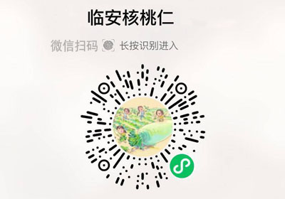 临安山核桃仁20221011/果然