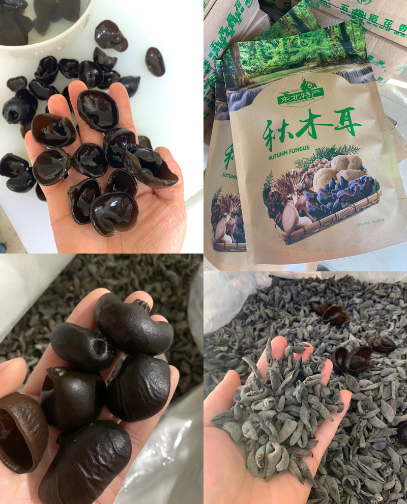 黑龙江黑山茶叶菜小碗耳20221014