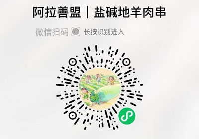 阿拉善盟百牧纪羊肉串20221016/果然