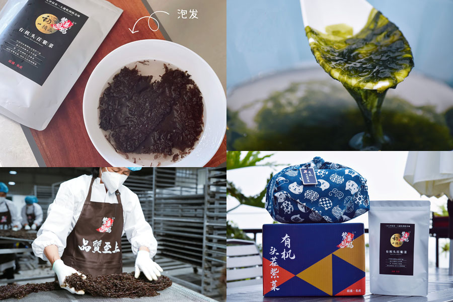 紫菜妈妈有机头茬紫菜20221018