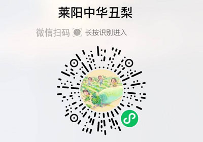 山东莱阳中华丑梨20221021/果然