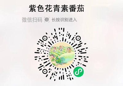 YOOM养慕鸡尾酒紫色小番茄20221024/果然