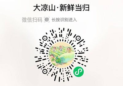 大凉山甜当归20221026/果然