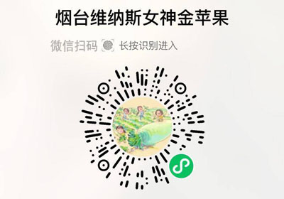 山东烟台黄金维纳斯苹果20221105/果然