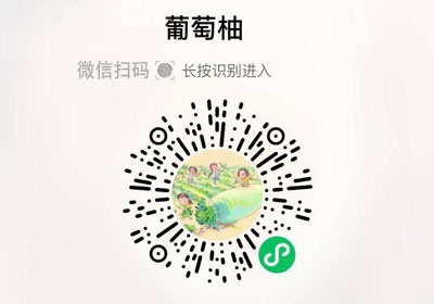福建平和黄金葡萄柚20221114/果然