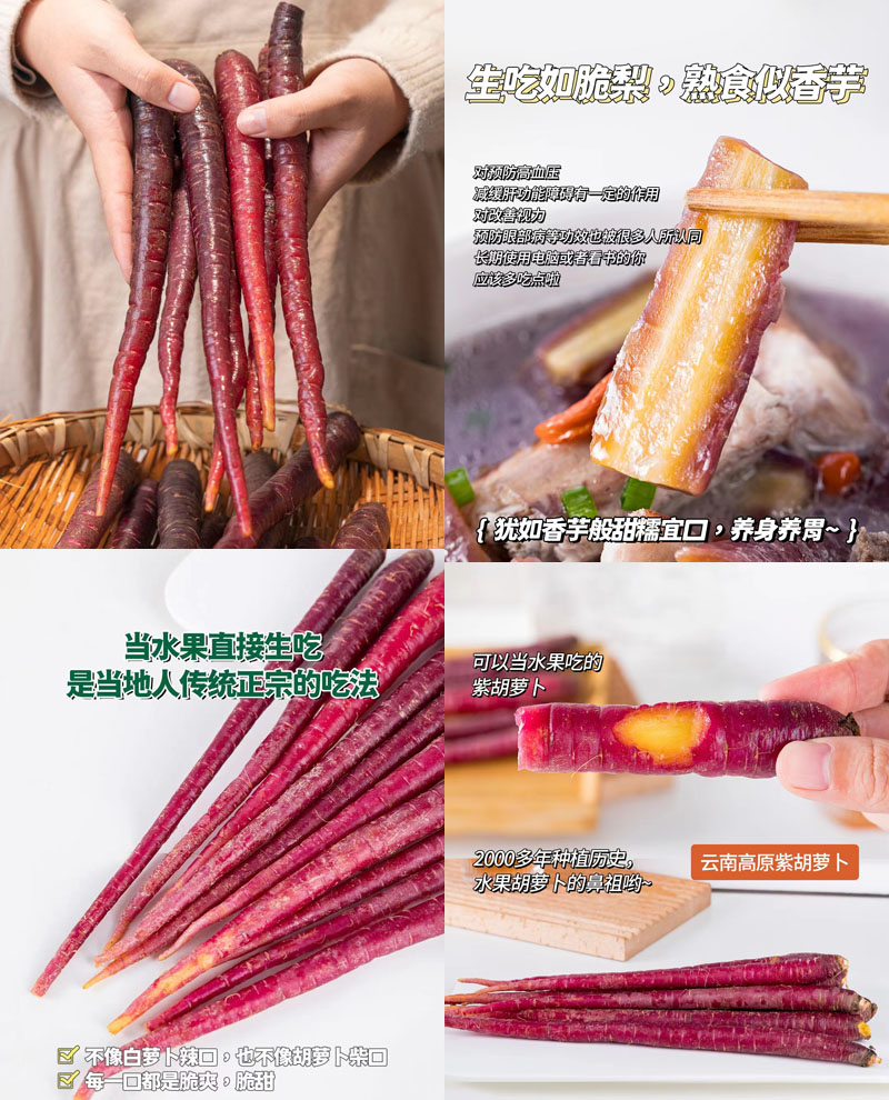 大理紫玉萝20221119