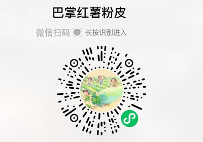 山东巴掌红薯粉皮20221119/果然