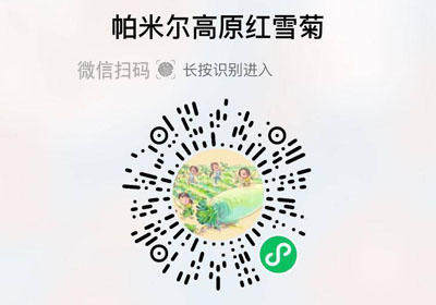 帕米尔红雪菊20221124/果然