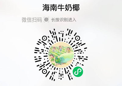 海南牛奶椰20221201/果然