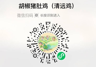 中宿麻鸡清远胡椒猪肚鸡20221209/果然