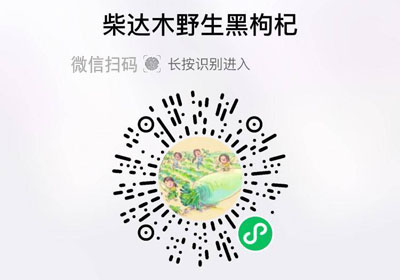 ⁠柴达木野生黑枸杞20221212/果然