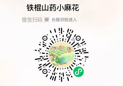 铁棍山药小麻花20221213/果然