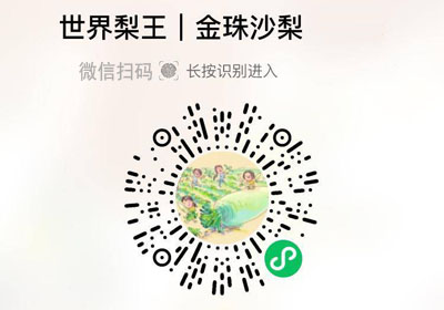 金珠沙梨20221222/果然