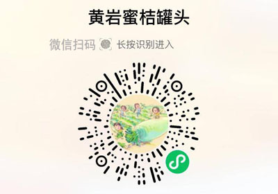 黄岩蜜桔罐头20221227/果然