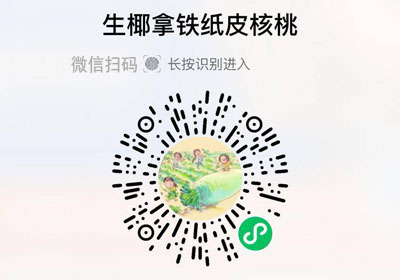 生椰拿铁核桃20230105/果然