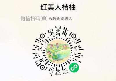 红美人桔柚20230106/果然