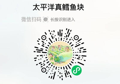 太平洋真鳕鱼块20230107/果然