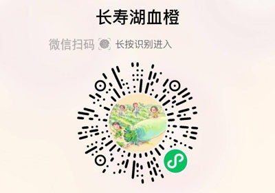 李子妃长寿湖血橙20230112/果然