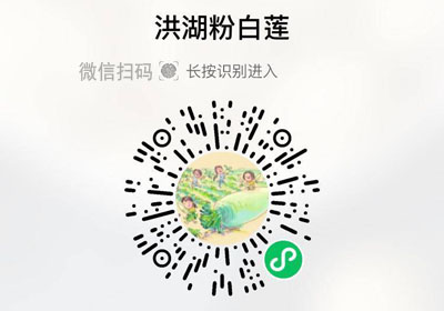 洪湖莲子20230112/果然