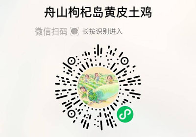 舟山枸杞岛黄皮土鸡20230117/果然