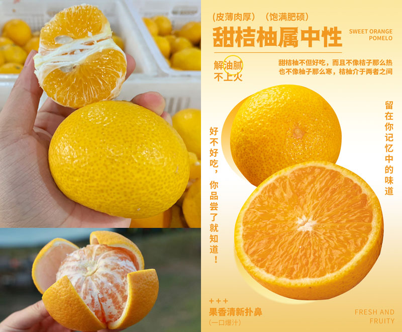 福建甜桔柚20230130