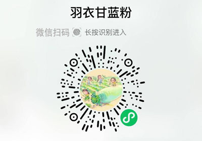 喜善花房羽衣甘蓝粉20230131/果然
